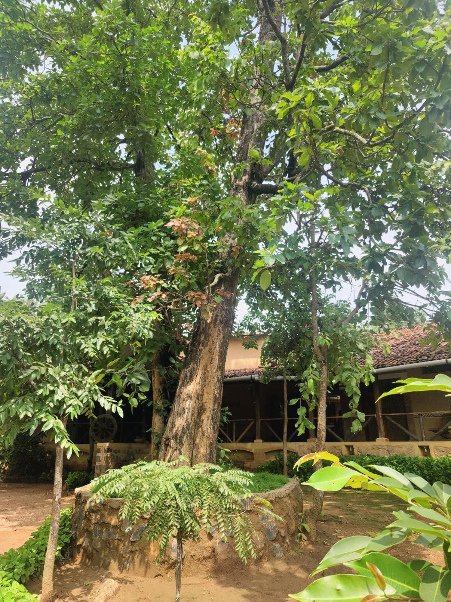 Surwahi Social Ecoestate Kanha Exterior photo